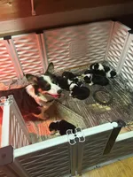 processed/93407e85-d9aa-4a76-977c-9ffae505aa07/facility/fc43f33c-e016-43cd-8add-4ca215a05805