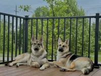 processed/9340c120-4782-428a-8837-dafae4d8fc6d/listing/89f9c1e2-3e60-4bf8-b21e-510a8f45a1fa/58bf2a33-113c-4882-a90a-538b2f75deff