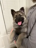 processed/9340c120-4782-428a-8837-dafae4d8fc6d/listing/89f9c1e2-3e60-4bf8-b21e-510a8f45a1fa/c63d1084-8529-4f1d-b64e-11639e158e04