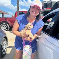 processed/934d24fe-8913-4c82-b445-e14224d9d082/facility/95d6f8cb-208f-45c7-a534-b759246e25a4