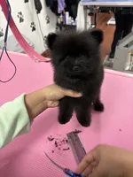 processed/934d24fe-8913-4c82-b445-e14224d9d082/listing/7e19831e-5dd2-45af-9cce-053a9003b9d2/0b49e73d-8d26-4076-b10b-1f45f382198c