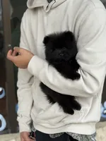 processed/934d24fe-8913-4c82-b445-e14224d9d082/listing/7e19831e-5dd2-45af-9cce-053a9003b9d2/77cbbdd2-fb18-4b48-b782-14ed8b324153