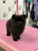 processed/934d24fe-8913-4c82-b445-e14224d9d082/listing/7e19831e-5dd2-45af-9cce-053a9003b9d2/bd97d6cf-8f1b-43ef-b64e-574db488c55c