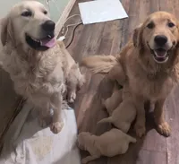 processed/93603390-c933-456d-89db-a788f2de7049/facility/3e88b68a-762b-4664-b058-014e651f6c19