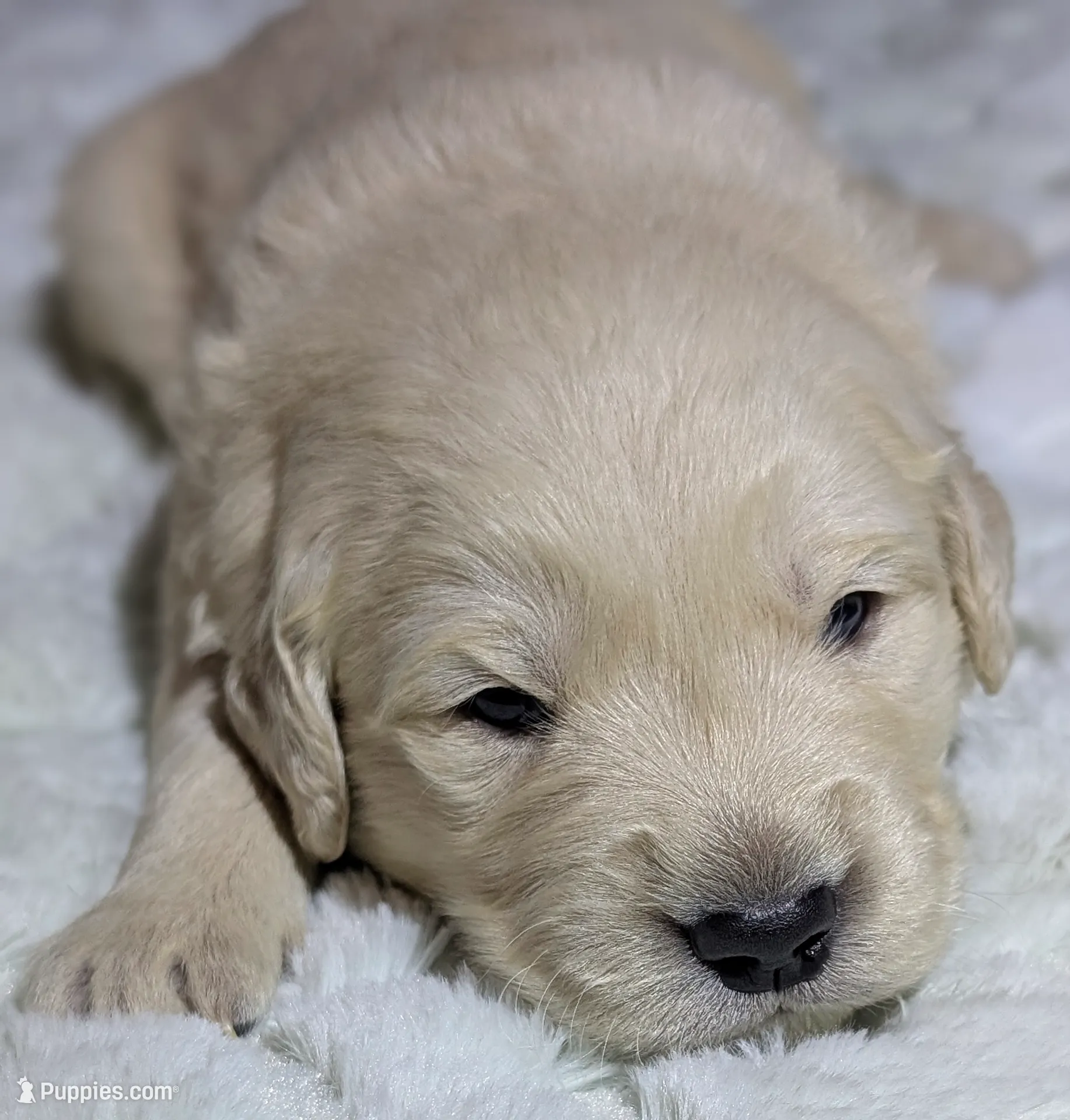 processed/93603390-c933-456d-89db-a788f2de7049/listing/6b346166-79fa-4c87-bee2-8cd5a9434ba5/1dd1fc4c-08f8-4876-a7b9-a7ab7f6fc579