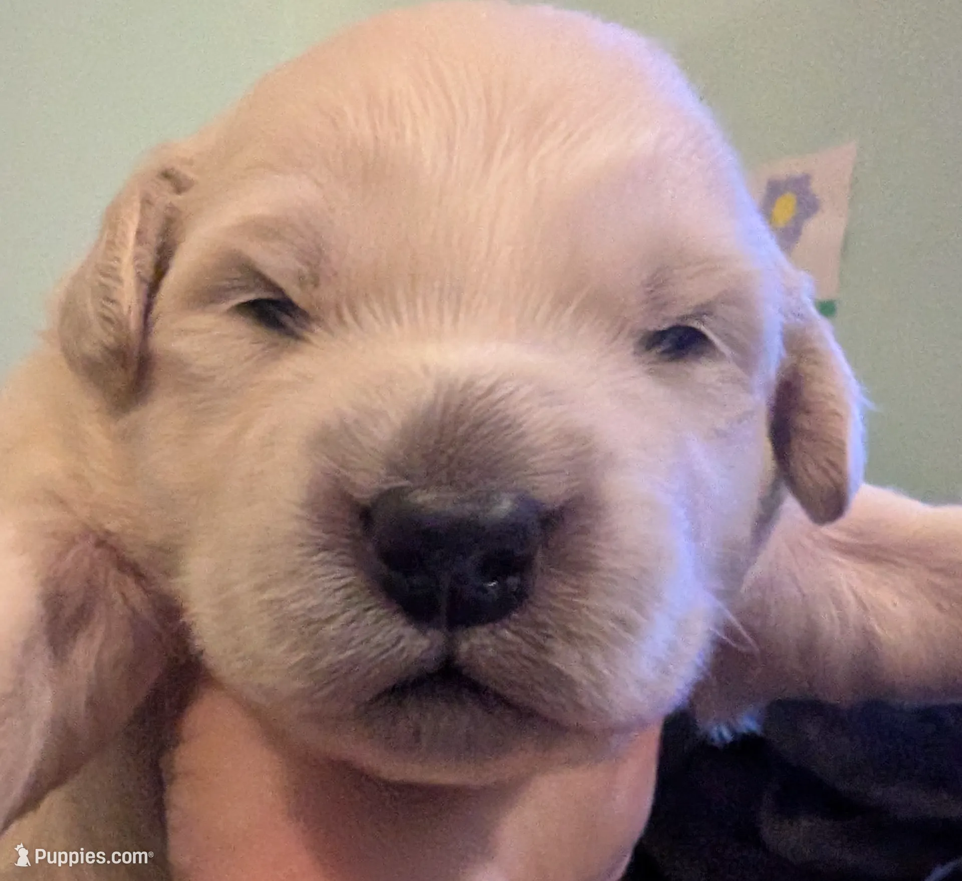 processed/93603390-c933-456d-89db-a788f2de7049/listing/8887de92-e1ca-4523-a5ff-916fdd0447f2/a0c82750-dea1-423a-93f4-463f8982ce27