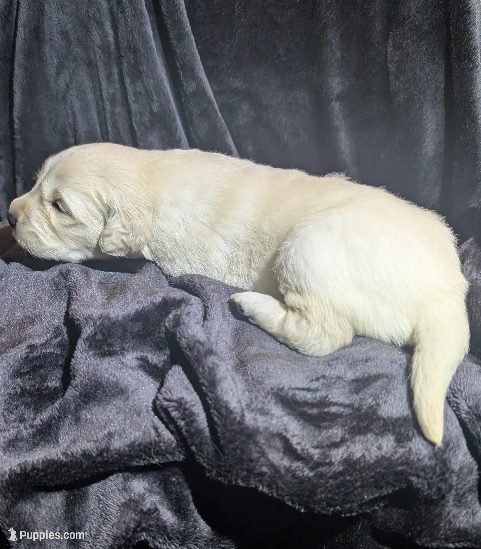 processed/93603390-c933-456d-89db-a788f2de7049/listing/8887de92-e1ca-4523-a5ff-916fdd0447f2/c59b6306-38f3-4a8b-bd2f-9a4a36e4446a