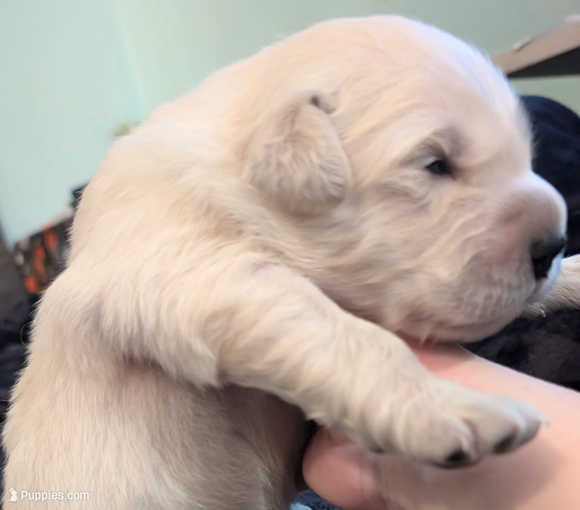 processed/93603390-c933-456d-89db-a788f2de7049/listing/8887de92-e1ca-4523-a5ff-916fdd0447f2/c697fb3e-164c-4217-9ac1-9115501410fe