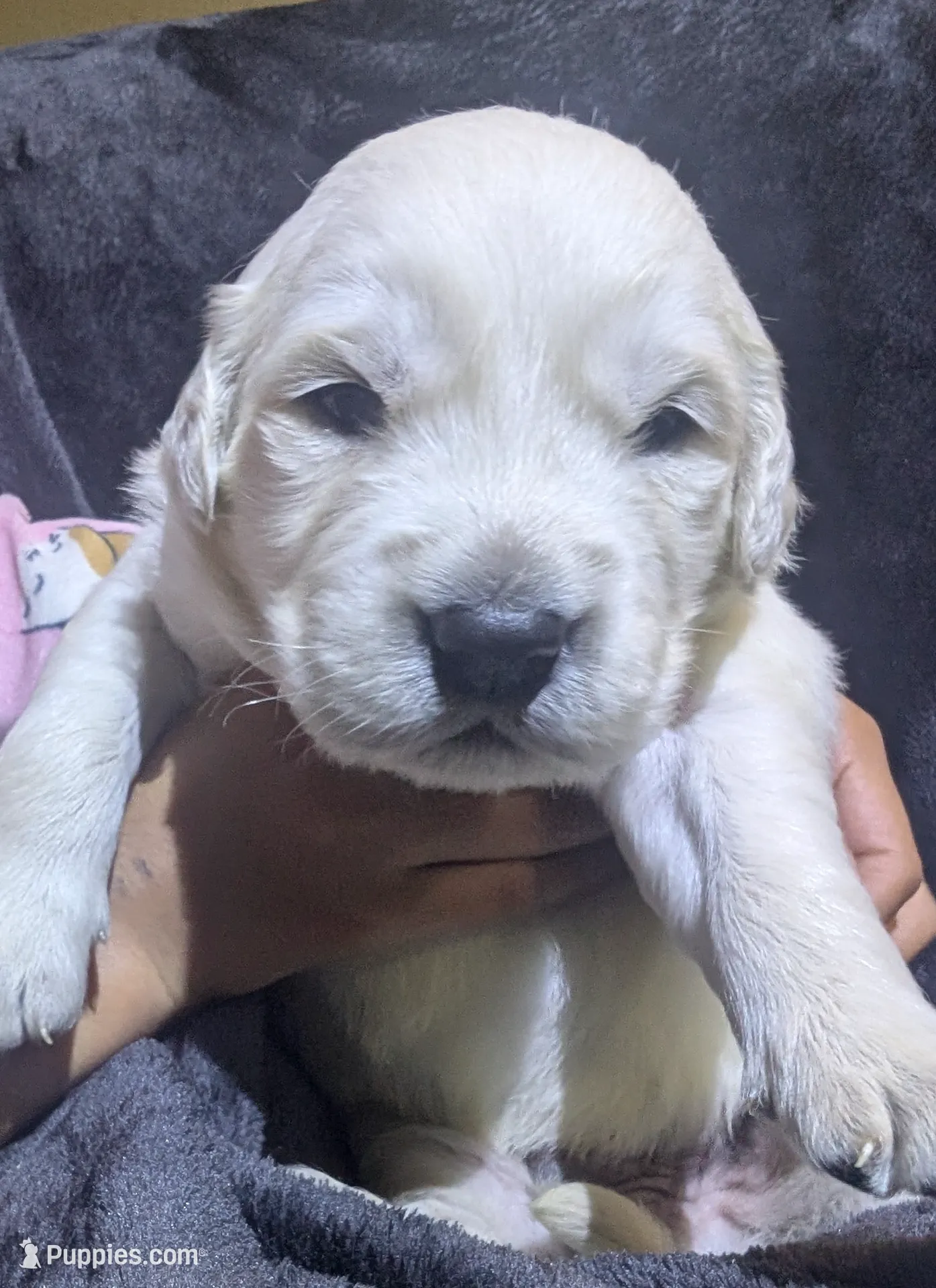 processed/93603390-c933-456d-89db-a788f2de7049/listing/8887de92-e1ca-4523-a5ff-916fdd0447f2/f4462a54-949b-4784-9537-766e418a7508