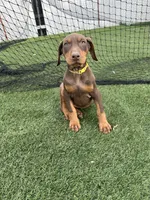 processed/9362d693-8191-42c3-80d8-e1c96f0c7c7f/listing/cc0c3dbe-6a90-40cc-b1cf-8295a9afc2db/529e8c47-27bd-4db2-af9f-810121a6570a