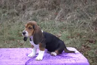 processed/9363e642-07bc-485d-92a7-e77413458eea/listing/0cf32ca5-744d-48d5-a8e1-1ad0db386483/26cd912b-7b7f-4138-9192-b58fdd7c775e