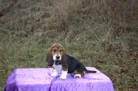 processed/9363e642-07bc-485d-92a7-e77413458eea/listing/0cf32ca5-744d-48d5-a8e1-1ad0db386483/88d5e2a3-4bbd-4321-bbab-f6725817a14a