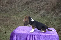 processed/9363e642-07bc-485d-92a7-e77413458eea/listing/0cf32ca5-744d-48d5-a8e1-1ad0db386483/9b2a9ddf-b0f2-4d12-90ed-4703d9a12fc7