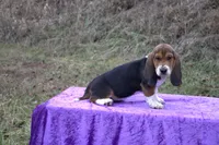 processed/9363e642-07bc-485d-92a7-e77413458eea/listing/0cf32ca5-744d-48d5-a8e1-1ad0db386483/a33e0b62-776f-4333-800f-586ddab7ec49