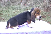 processed/9363e642-07bc-485d-92a7-e77413458eea/listing/0cf32ca5-744d-48d5-a8e1-1ad0db386483/ba6bd092-7594-4385-9b18-f44d1cc799b9