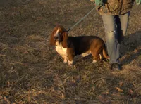 processed/9363e642-07bc-485d-92a7-e77413458eea/listing/a1bebd42-982d-4617-a208-38a2d495dbac/0bd816c7-7b18-40bf-b1ce-36755100a671