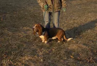 processed/9363e642-07bc-485d-92a7-e77413458eea/listing/a1bebd42-982d-4617-a208-38a2d495dbac/45c0a3fc-8ad6-4efa-b936-84f3b911e30b