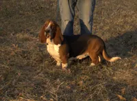 processed/9363e642-07bc-485d-92a7-e77413458eea/listing/a1bebd42-982d-4617-a208-38a2d495dbac/dd5fd59e-fa40-4037-a021-b600d78489a4