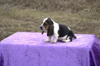 processed/9363e642-07bc-485d-92a7-e77413458eea/listing/ac5b9c19-797b-485a-a950-e3d79d788eae/04d81558-1fe0-4976-8302-a9924704f21b