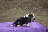 processed/9363e642-07bc-485d-92a7-e77413458eea/listing/ac5b9c19-797b-485a-a950-e3d79d788eae/2310a983-5179-44b4-97c8-f67cf3bdd215