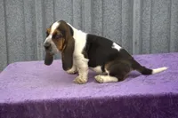 processed/9363e642-07bc-485d-92a7-e77413458eea/listing/ac5b9c19-797b-485a-a950-e3d79d788eae/327d0a9a-d021-4a06-a126-9f1f64374ceb