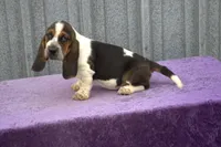 processed/9363e642-07bc-485d-92a7-e77413458eea/listing/ac5b9c19-797b-485a-a950-e3d79d788eae/7f2c849f-3aff-4d40-ae3a-a0d05a392f80