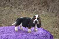 processed/9363e642-07bc-485d-92a7-e77413458eea/listing/ac5b9c19-797b-485a-a950-e3d79d788eae/9088d381-a662-41d5-8e9c-cfc3e031ed68