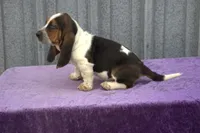 processed/9363e642-07bc-485d-92a7-e77413458eea/listing/ac5b9c19-797b-485a-a950-e3d79d788eae/95cedd11-d887-4d9d-9738-c1fbf99953fc