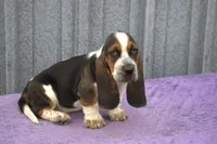 processed/9363e642-07bc-485d-92a7-e77413458eea/listing/ac5b9c19-797b-485a-a950-e3d79d788eae/dcb99d2f-b40b-4b39-8920-3055d1131e44