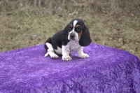 processed/9363e642-07bc-485d-92a7-e77413458eea/listing/fdcfb43a-d501-43c5-955f-1d15f74ae478/1c890a23-190a-4594-812b-75c2fea31b16