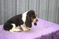 processed/9363e642-07bc-485d-92a7-e77413458eea/listing/fdcfb43a-d501-43c5-955f-1d15f74ae478/5e83ffad-9b4c-49b1-9ddc-b5f72c97d7cf