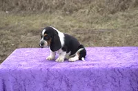 processed/9363e642-07bc-485d-92a7-e77413458eea/listing/fdcfb43a-d501-43c5-955f-1d15f74ae478/9b6390d4-ebb4-4ee5-b673-39f8cb0395fa