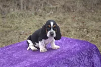 processed/9363e642-07bc-485d-92a7-e77413458eea/listing/fdcfb43a-d501-43c5-955f-1d15f74ae478/c4a723fc-3236-458a-9dfd-6e633e052bdd