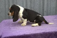 processed/9363e642-07bc-485d-92a7-e77413458eea/listing/fdcfb43a-d501-43c5-955f-1d15f74ae478/d515c7a9-1af5-4e3a-912a-4b2f7f1577b0