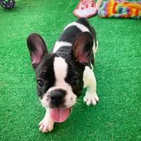 processed/9367e3da-4de4-40ec-b8e7-39d23160168e/facility/17cacf18-5eed-44fd-8bbf-a8581bda6a92