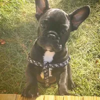 processed/9367e3da-4de4-40ec-b8e7-39d23160168e/facility/1a0c4cbc-a681-4ac0-b49a-86569cb3844d