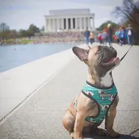 processed/9367e3da-4de4-40ec-b8e7-39d23160168e/facility/23fdd49a-076c-4d31-868c-d42885e88d9f