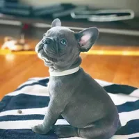 processed/9367e3da-4de4-40ec-b8e7-39d23160168e/facility/3f93c021-bcf0-4c7a-aad3-92867d984ad3