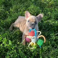 processed/9367e3da-4de4-40ec-b8e7-39d23160168e/facility/4ce511f7-69a6-4e53-9b43-d14a426e4c21