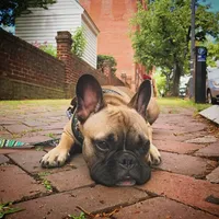 processed/9367e3da-4de4-40ec-b8e7-39d23160168e/facility/60e626de-82da-46f6-a10d-a2777e566589