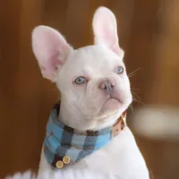 processed/9367e3da-4de4-40ec-b8e7-39d23160168e/facility/860d03b2-50b3-4d4c-a957-019de072e715