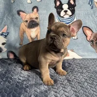 processed/9367e3da-4de4-40ec-b8e7-39d23160168e/listing/edbf6b72-0677-4ed9-ab4a-f5b241acf893/17d2ec06-8929-4e14-a936-d04cb3c3b5fb