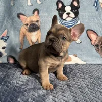 processed/9367e3da-4de4-40ec-b8e7-39d23160168e/listing/edbf6b72-0677-4ed9-ab4a-f5b241acf893/6ab2b8ff-848b-4285-a7a0-0605647073c5