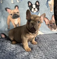 processed/9367e3da-4de4-40ec-b8e7-39d23160168e/listing/edbf6b72-0677-4ed9-ab4a-f5b241acf893/a23945ff-715e-4e17-b864-3362c31b7d47