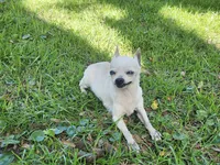 processed/936d213c-3696-42e3-9f40-0569d306a37c/listing/1a35fcec-9401-4662-a2c0-dd65ec4d9892/06fdf525-41cc-415f-8a76-1d369980766f