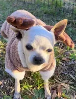 processed/936d213c-3696-42e3-9f40-0569d306a37c/listing/1a35fcec-9401-4662-a2c0-dd65ec4d9892/8612b913-cb6d-4fb4-a4ff-9c23b7fd07ab