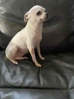 processed/936d213c-3696-42e3-9f40-0569d306a37c/listing/1a35fcec-9401-4662-a2c0-dd65ec4d9892/c75428f0-fa2c-4457-a3fc-f3fce4042399