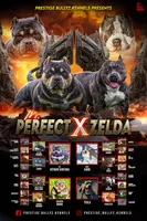 processed/937162a4-d6e6-457c-a4ba-fc6c2c77bca7/facility/9abaa2c1-034e-4af7-9208-431ed241fda7