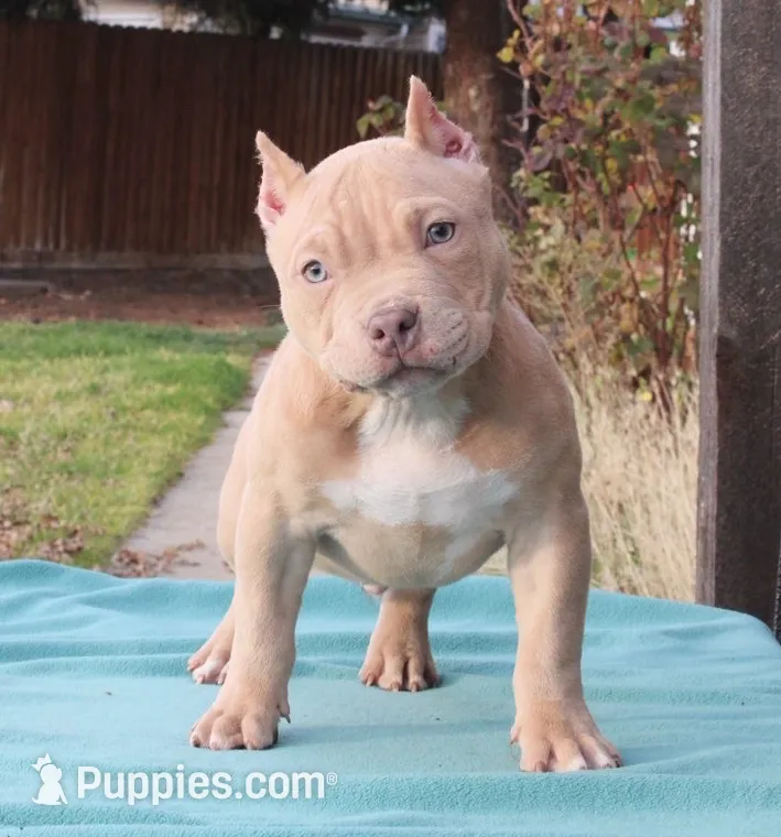 processed/937162a4-d6e6-457c-a4ba-fc6c2c77bca7/listing/3736ba32-9ea9-451b-8c7a-897992c03396/2af2efcd-03a6-4289-956a-fff0486d668d