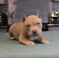 processed/937162a4-d6e6-457c-a4ba-fc6c2c77bca7/listing/3736ba32-9ea9-451b-8c7a-897992c03396/468f2986-d81e-4c73-ac26-db30da54082c